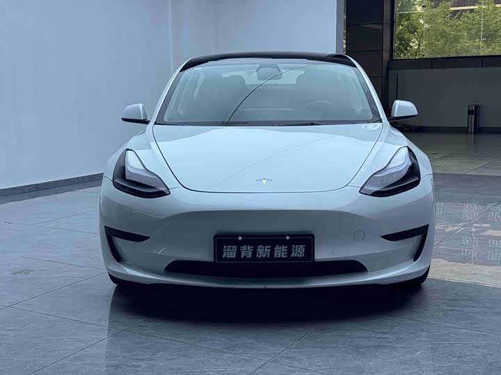 Tesla Model 3 used sedan exterior - China used car export wholesale
