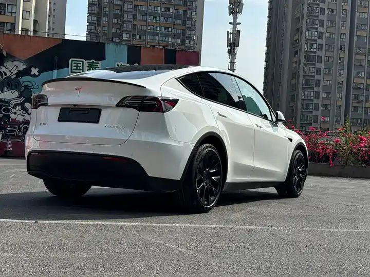 Tesla Model Y 2022 exterior view 3 - used suv for export from China