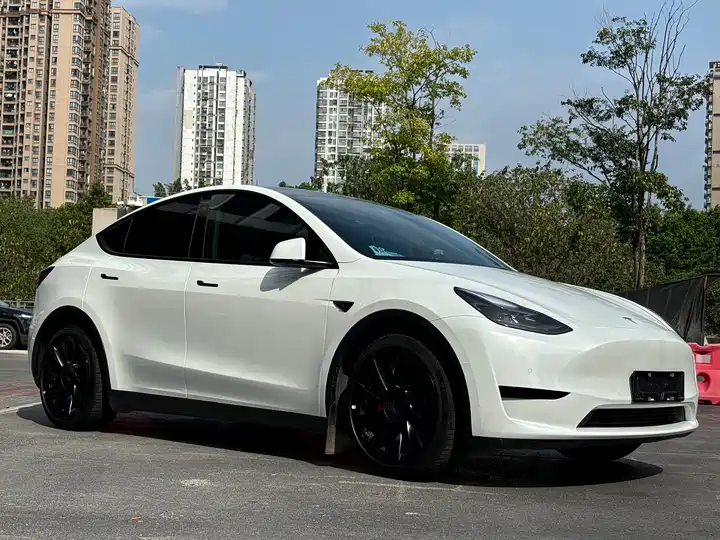 Tesla Model Y 2022 exterior view 5 - used suv for export from China