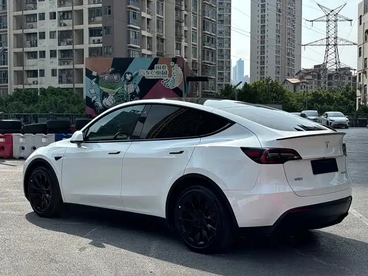 Tesla Model Y 2022 exterior view 6 - used suv for export from China